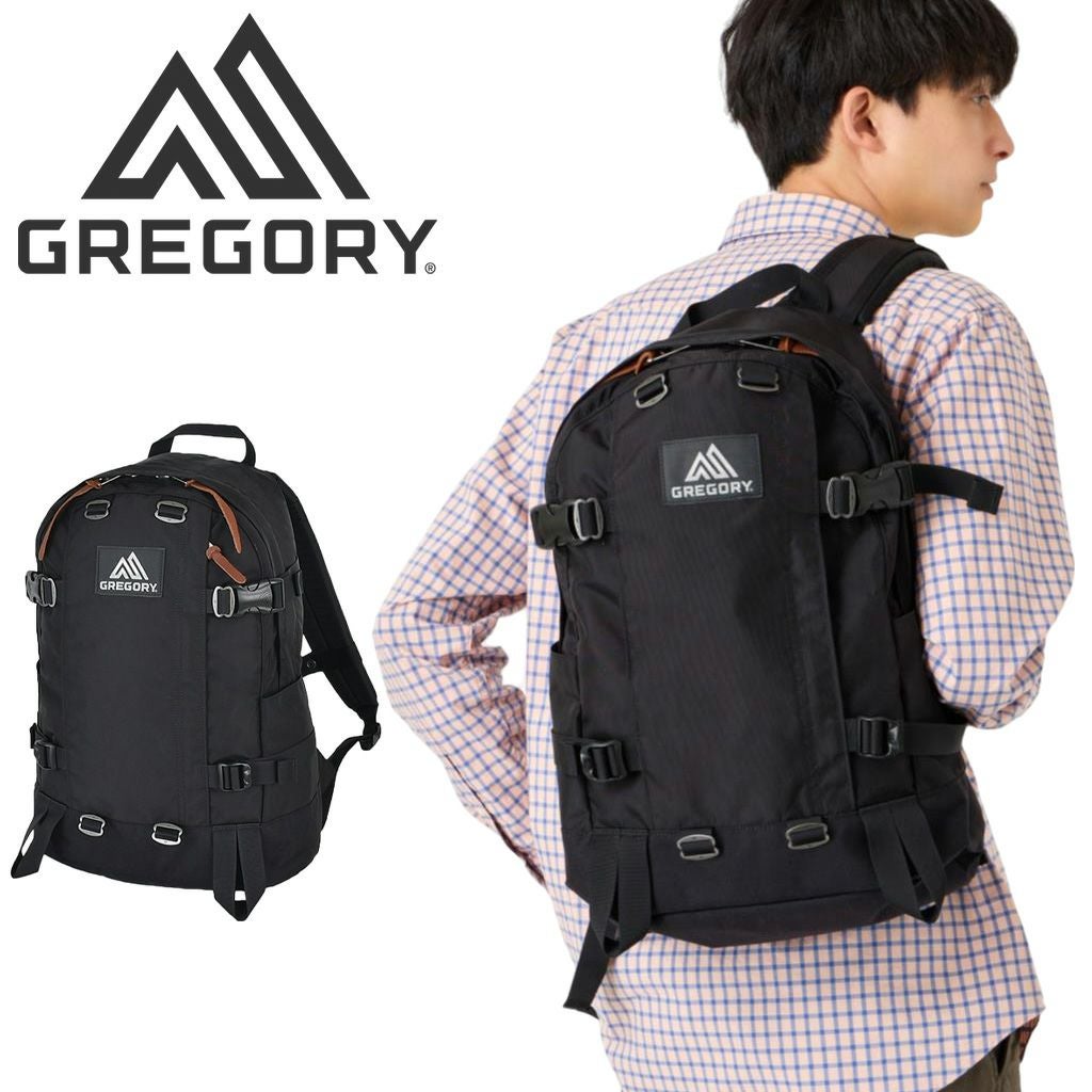 GREGORY リュック 正規取扱店】 グレゴリー デイパック 146493