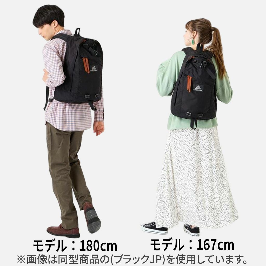 正規取扱店】 グレゴリー デイパック 65169