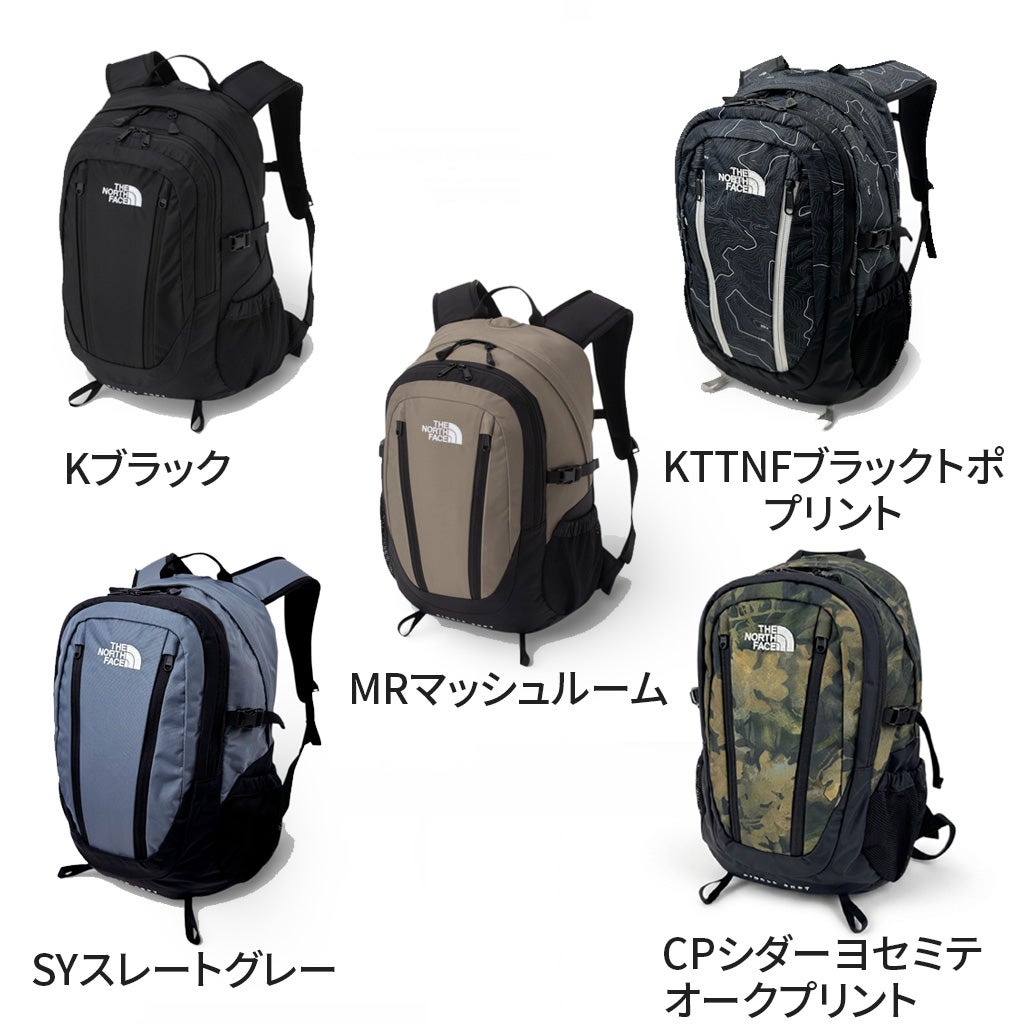 THE NORTH FACE
